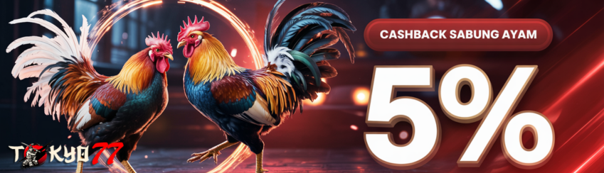 Sabung Ayam Cashback